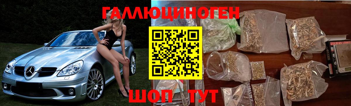 Мирный  Галлюциногенные грибы Cubensis  Вход с VPN 